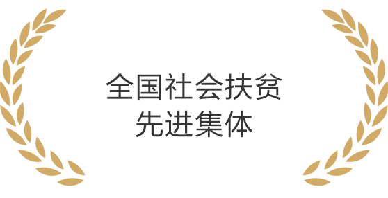 2121非凡·(中国集团)体育官方网站