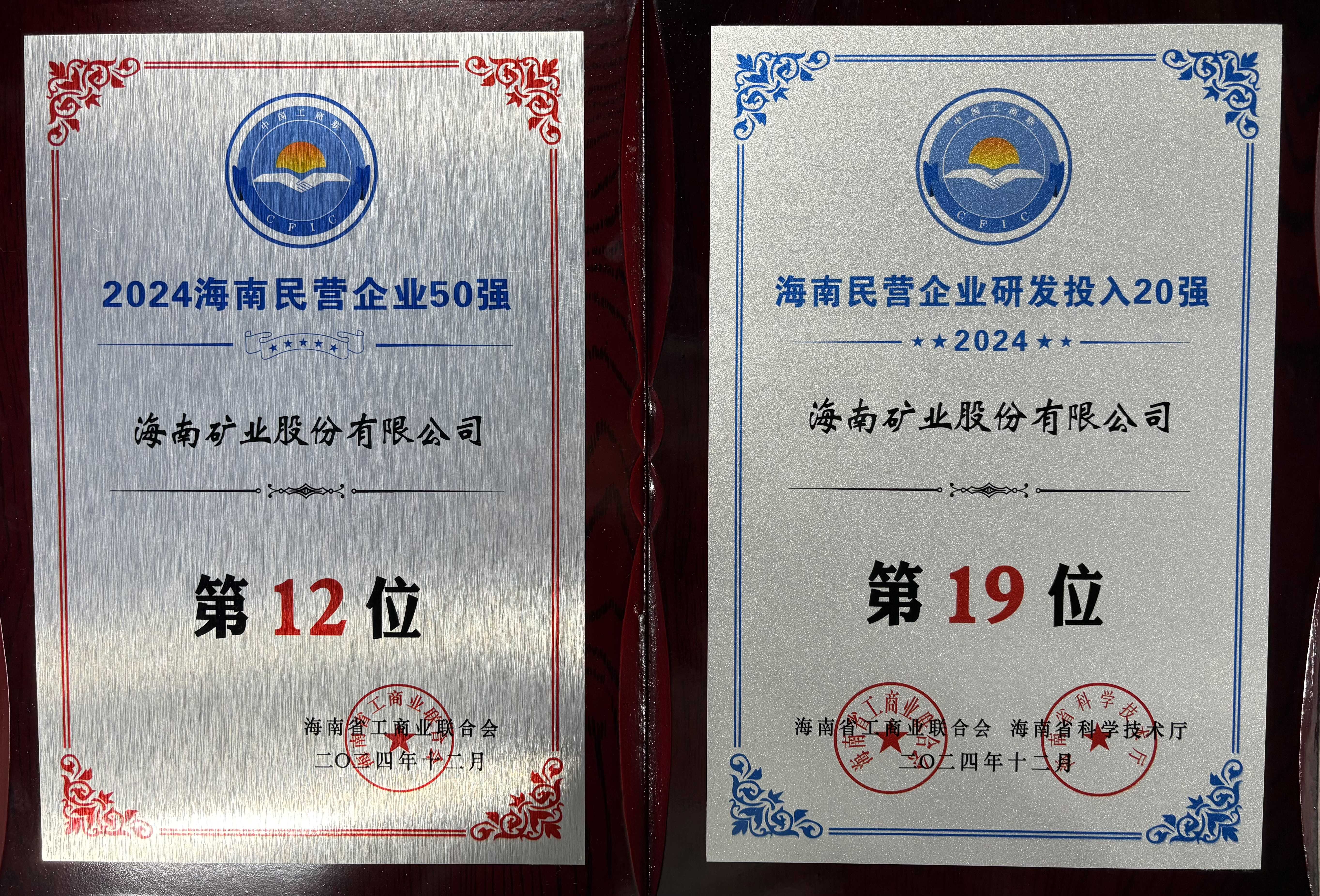 “2024海南民营企业50强”榜单颁布 2121非凡位列第12位